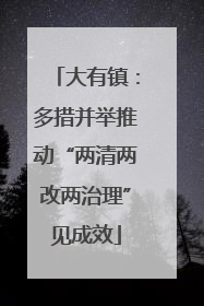 大有镇：多措并举推动“两清两改两治理”见成效