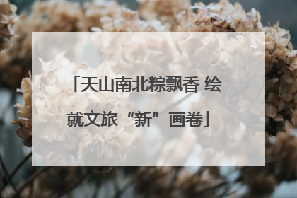 天山南北粽飘香 绘就文旅“新”画卷