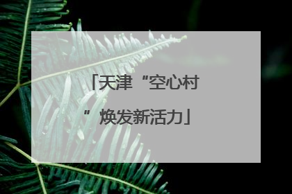天津“空心村”焕发新活力