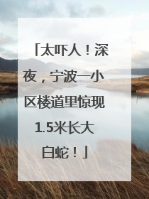 太吓人！深夜，宁波一小区楼道里惊现1.5米长大白蛇！