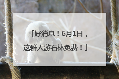 好消息！6月1日，这群人游石林免费！