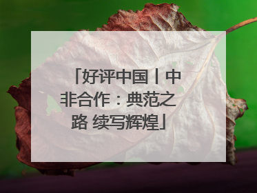 好评中国丨中非合作：典范之路 续写辉煌