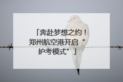 奔赴梦想之约！郑州航空港开启“护考模式”