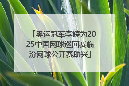 奥运冠军李婷为2025中国网球巡回赛临汾网球公开赛助兴
