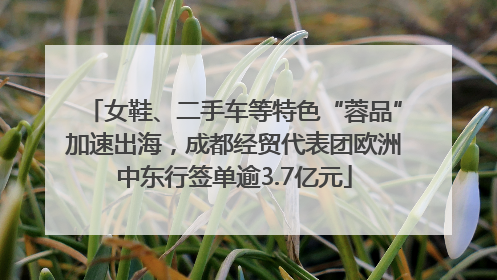 女鞋、二手车等特色“蓉品”加速出海，成都经贸代表团欧洲中东行签单逾3.7亿元