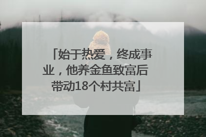 始于热爱，终成事业，他养金鱼致富后带动18个村共富