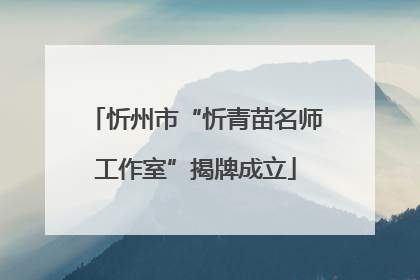 忻州市“忻青苗名师工作室”揭牌成立