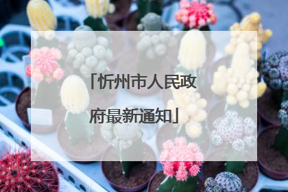 忻州市人民政府最新通知