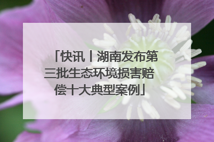 快讯丨湖南发布第三批生态环境损害赔偿十大典型案例