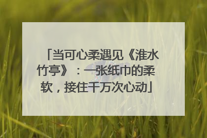 当可心柔遇见《淮水竹亭》：一张纸巾的柔软，接住千万次心动