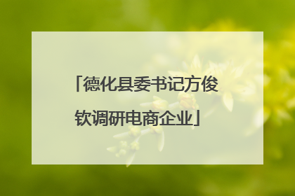 德化县委书记方俊钦调研电商企业