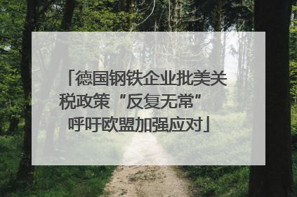 德国钢铁企业批美关税政策“反复无常” 呼吁欧盟加强应对