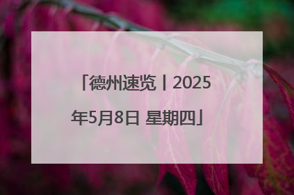 德州速览丨2025年5月8日 星期四