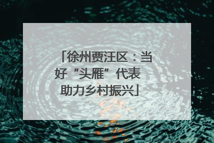 徐州贾汪区：当好“头雁”代表 助力乡村振兴