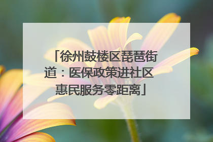 徐州鼓楼区琵琶街道：医保政策进社区 惠民服务零距离