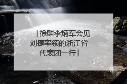 徐麟李炳军会见刘捷率领的浙江省代表团一行