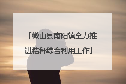 微山县南阳镇全力推进秸秆综合利用工作