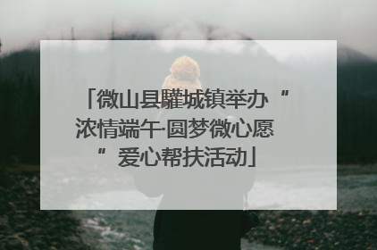 微山县驩城镇举办“浓情端午·圆梦微心愿”爱心帮扶活动