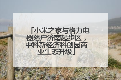 小米之家与格力电器落户济南起步区，中科新经济科创园商业生态升级