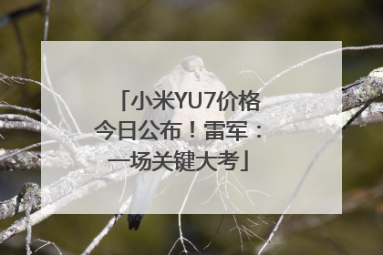 小米YU7价格今日公布！雷军：一场关键大考