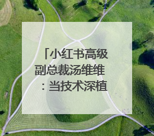 小红书高级副总裁汤维维：当技术深植人文之心，边界终将化为桥梁｜聚焦2025文化强国建设高峰论坛
