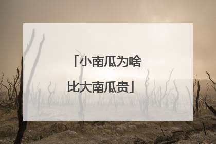 小南瓜为啥比大南瓜贵