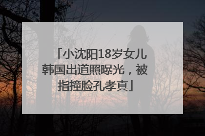小沈阳18岁女儿韩国出道照曝光，被指撞脸孔孝真