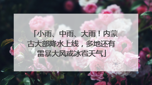 小雨、中雨、大雨！内蒙古大部降水上线，多地还有雷暴大风或冰雹天气