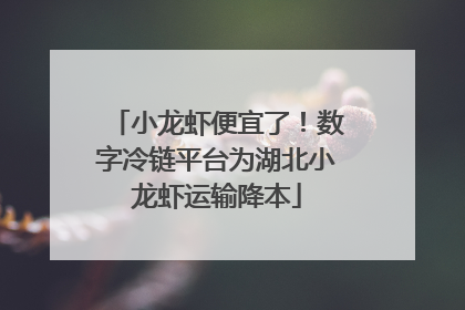 小龙虾便宜了！数字冷链平台为湖北小龙虾运输降本