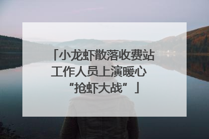 小龙虾散落收费站 工作人员上演暖心“抢虾大战”