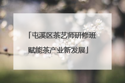 屯溪区茶艺师研修班赋能茶产业新发展