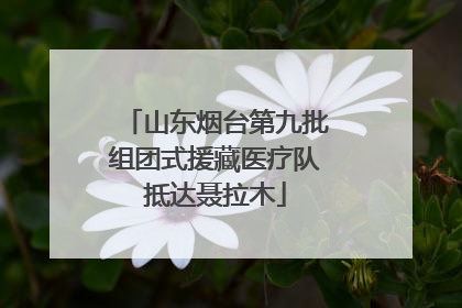 山东烟台第九批组团式援藏医疗队抵达聂拉木