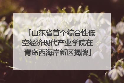 山东省首个综合性低空经济现代产业学院在青岛西海岸新区揭牌