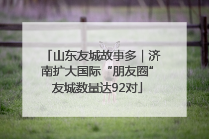 山东友城故事多｜济南扩大国际“朋友圈”友城数量达92对