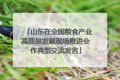 山东在全国粮食产业高质量发展现场推进会作典型交流发言