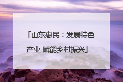 山东惠民：发展特色产业 赋能乡村振兴