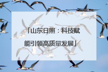 山东日照：科技赋能引领高质量发展