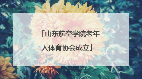 山东航空学院老年人体育协会成立