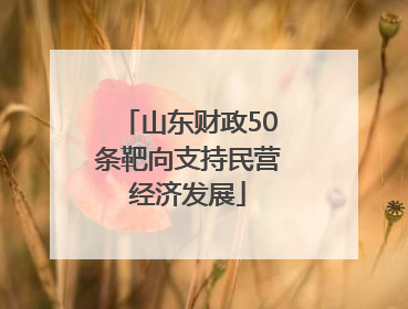 山东财政50条靶向支持民营经济发展