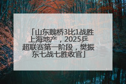 山东魏桥3比1战胜上海地产，2025乒超联赛第一阶段，樊振东七战七胜收官