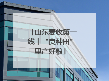 山东麦收第一线丨“良种田”里产好粮