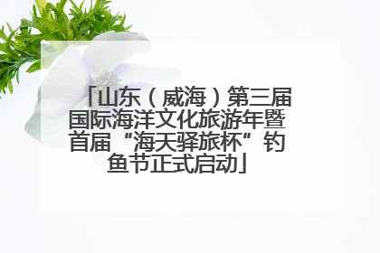 山东（威海）第三届国际海洋文化旅游年暨首届“海天驿旅杯”钓鱼节正式启动