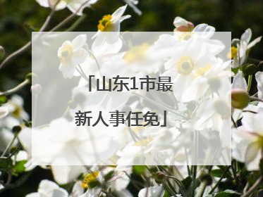 山东1市最新人事任免