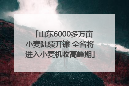 山东6000多万亩小麦陆续开镰 全省将进入小麦机收高峰期