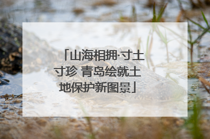 山海相拥·寸土寸珍 青岛绘就土地保护新图景