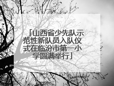 山西省少先队示范性新队员入队仪式在临汾市第一小学圆满举行