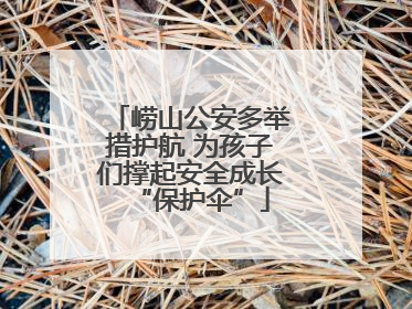 崂山公安多举措护航 为孩子们撑起安全成长“保护伞”