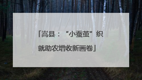 嵩县：“小蚕茧”织就助农增收新画卷