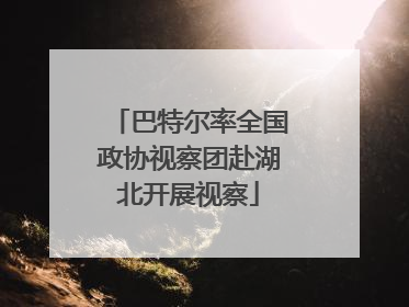 巴特尔率全国政协视察团赴湖北开展视察