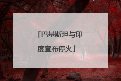 巴基斯坦与印度宣布停火